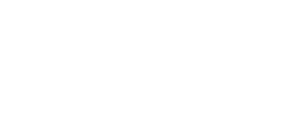 BUDGET