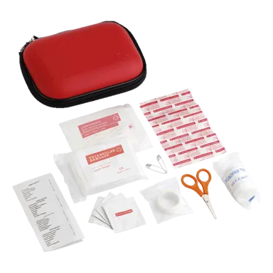 16 Piece First Aid Kit in EVA Case 16 Piece First Aid Kit in EVA Case