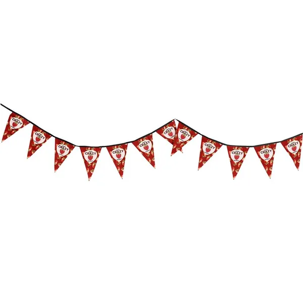 Sublimated Single-Sided Polyester Triangle Bunting 10m Sublimated Single-Sided Polyester Triangle Bunting 10m