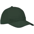 6 Panel Raven Cap 6 Panel Raven Cap