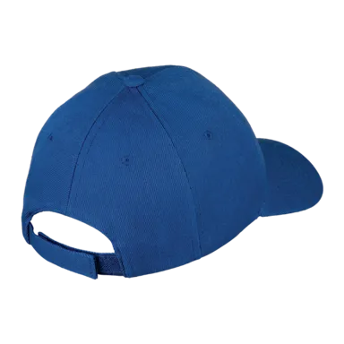 6 Panel Raven Cap 6 Panel Raven Cap