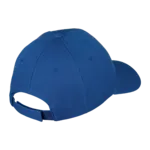 6 Panel Raven Cap 6 Panel Raven Cap
