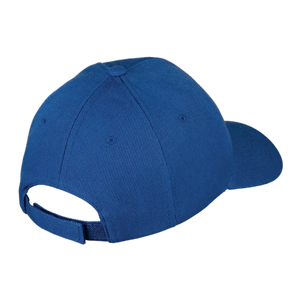 6 Panel Raven Cap 6 Panel Raven Cap