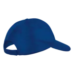 6 Panel Boost Cap 6 Panel Boost Cap