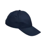6 Panel Boost Cap 6 Panel Boost Cap
