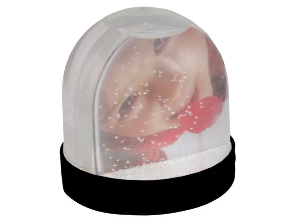 Picture Snow Globe Picture Snow Globe