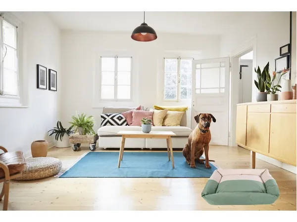 Two-Tone Dog Lounger Two-Tone Dog Lounger