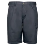 Rogue Shorts Rogue Shorts
